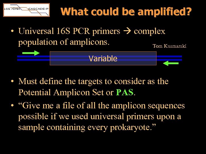 What could be amplified? • Universal 16 S PCR primers complex population of amplicons.