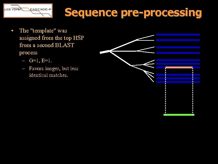 Sequence pre-processing • The "template" was assigned from the top HSP from a second