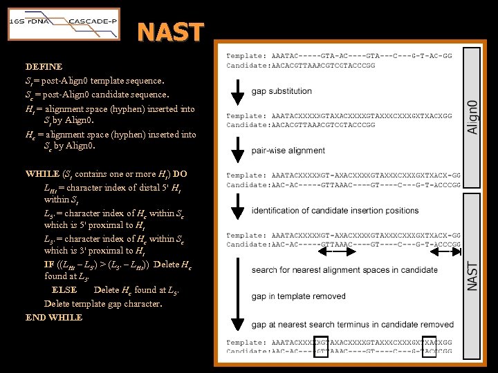 NAST DEFINE St = post-Align 0 template sequence. Sc = post-Align 0 candidate sequence.