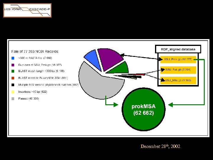 December 28 th, 2002 