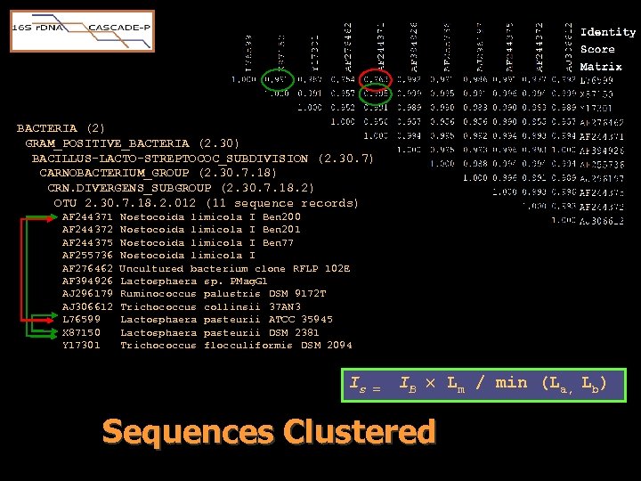 BACTERIA (2) GRAM_POSITIVE_BACTERIA (2. 30) BACILLUS-LACTO-STREPTOCOC_SUBDIVISION (2. 30. 7) CARNOBACTERIUM_GROUP (2. 30. 7. 18)