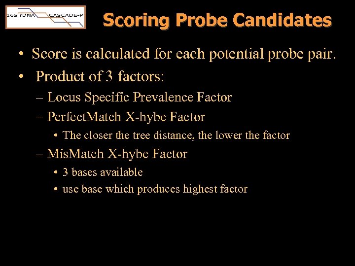 Scoring Probe Candidates • Score is calculated for each potential probe pair. • Product