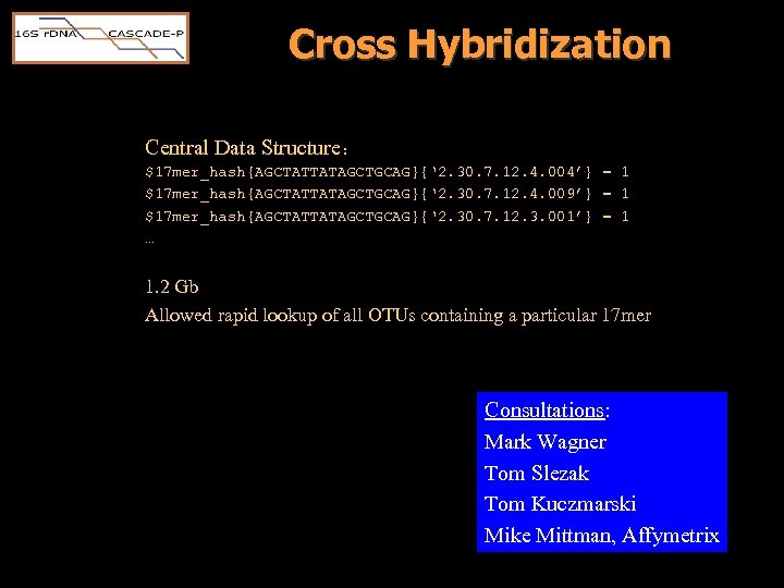 Cross Hybridization Central Data Structure: $17 mer_hash{AGCTATTATAGCTGCAG}{‘ 2. 30. 7. 12. 4. 004’} =