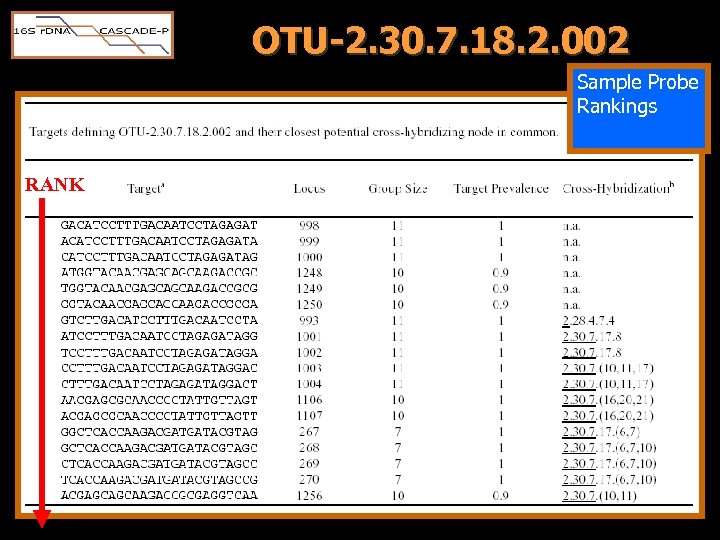 OTU-2. 30. 7. 18. 2. 002 Sample Probe Rankings RANK 