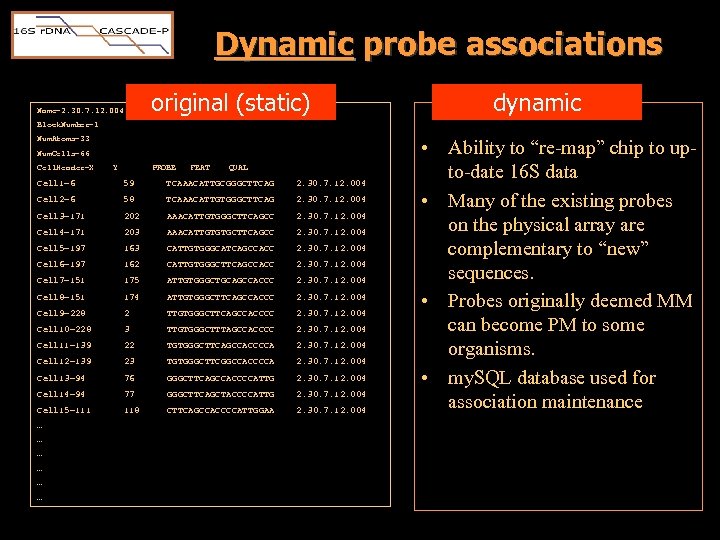Dynamic probe associations original (static) Name=2. 30. 7. 12. 004 dynamic Block. Number=1 Num.