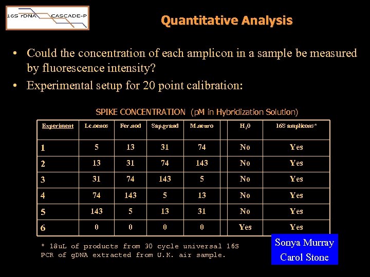Quantitative Analysis • Could the concentration of each amplicon in a sample be measured