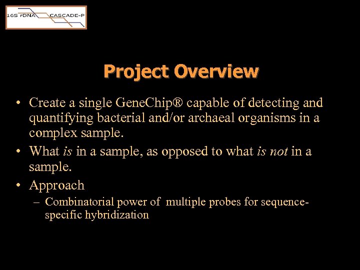 Project Overview • Create a single Gene. Chip® capable of detecting and quantifying bacterial
