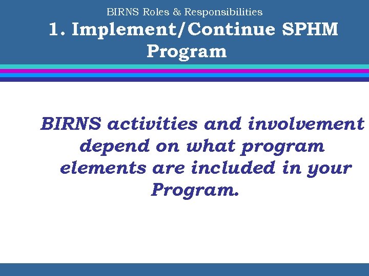 BIRNS Roles & Responsibilities 1. Implement/Continue SPHM Program BIRNS activities and involvement depend on