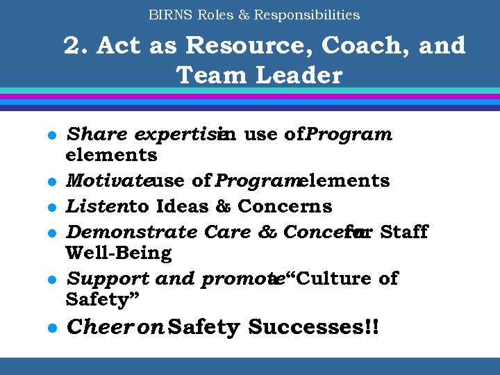 BIRNS Roles & Responsibilities 2. Act as Resource, Coach, and Team Leader l l