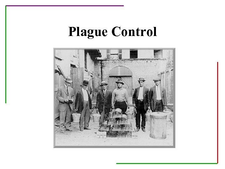 Plague Control 