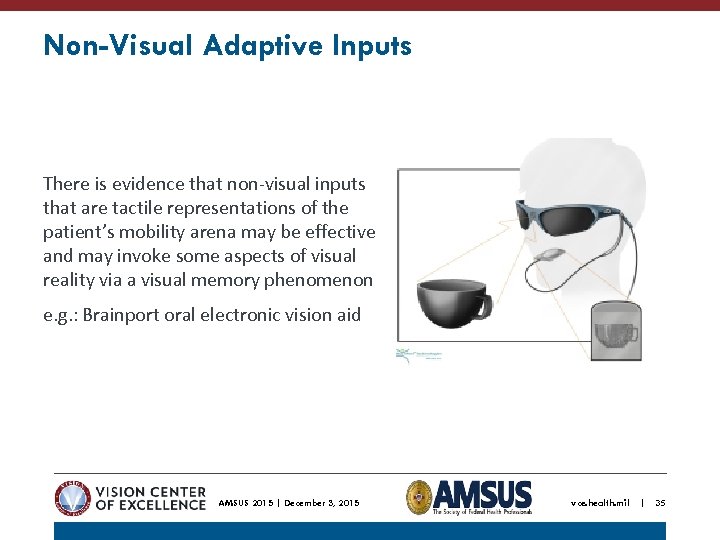 Non-Visual Adaptive Inputs There is evidence that non-visual inputs that are tactile representations of