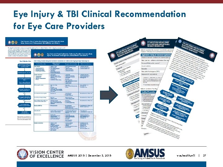 Eye Injury & TBI Clinical Recommendation for Eye Care Providers AMSUS 2015 | December