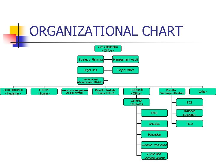ORGANIZATIONAL CHART Vice Chancellor <Office> Strategic Planning Management Audit Legal Unit Project Office Institutional