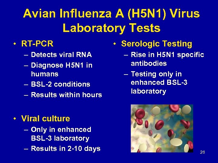 Avian Influenza A (H 5 N 1) Virus Laboratory Tests • RT-PCR – Detects