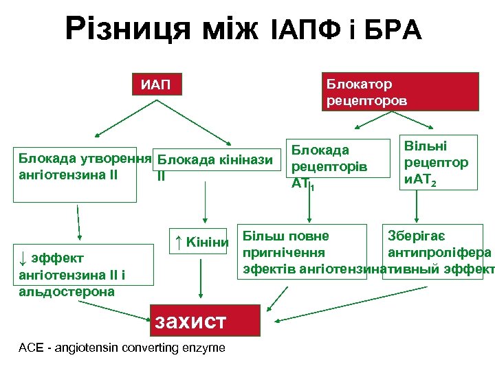 Різниця між ІАПФ і БРА Блокатор рецепторов ангиотензина II ИАП Ф Блокада утворення Блокада