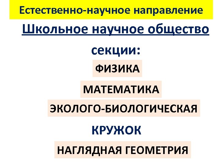 Естественно-научное направление Школьное научное общество секции: ФИЗИКА МАТЕМАТИКА ЭКОЛОГО-БИОЛОГИЧЕСКАЯ КРУЖОК НАГЛЯДНАЯ ГЕОМЕТРИЯ 