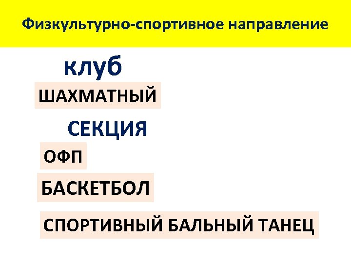 Физкультурно-спортивное направление клуб ШАХМАТНЫЙ СЕКЦИЯ ОФП БАСКЕТБОЛ СПОРТИВНЫЙ БАЛЬНЫЙ ТАНЕЦ 