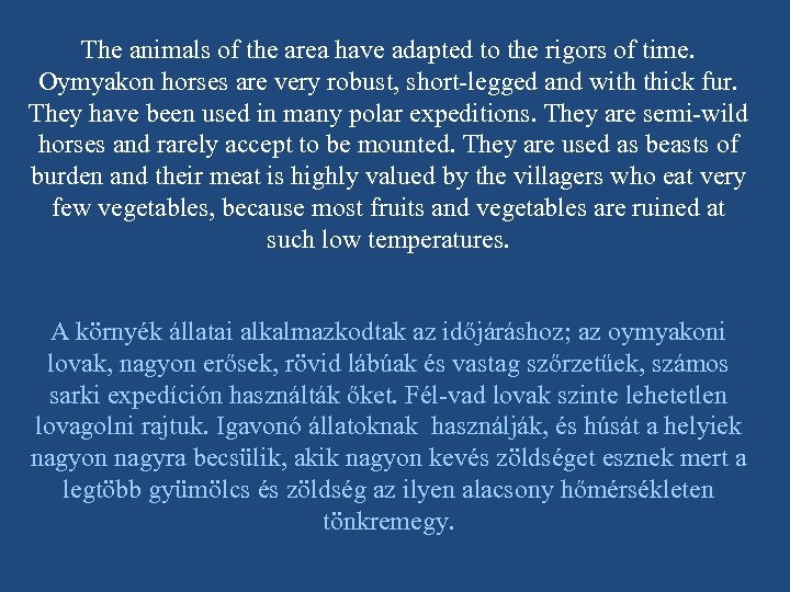 The animals of the area have adapted to the rigors of time. Oymyakon horses