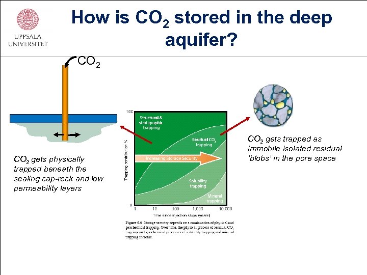 How is CO 2 stored in the deep aquifer? CO 2 gets physically trapped