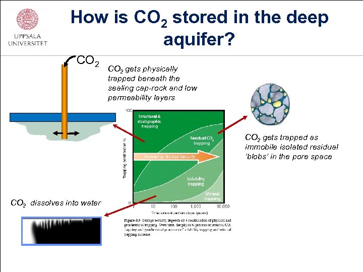 How is CO 2 stored in the deep aquifer? CO 2 gets physically trapped