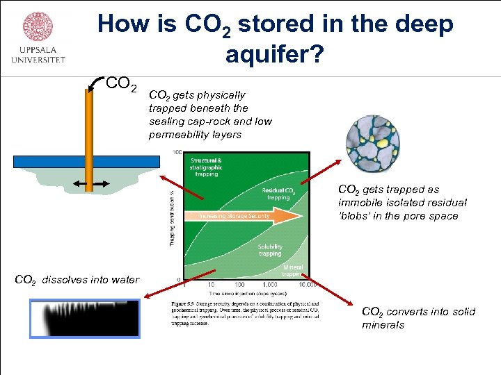 How is CO 2 stored in the deep aquifer? CO 2 gets physically trapped