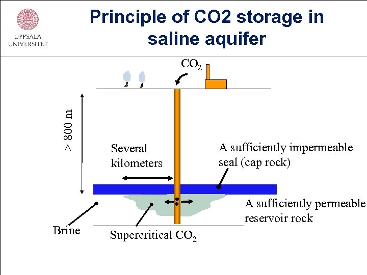 Principle of CO 2 storage in saline aquifer > 800 m CO 2 Brine