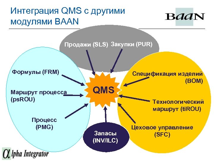 Ins qms ru. Система управления качеством (QMS). Бренд QMS. От QMS пример работы. QMS питание.