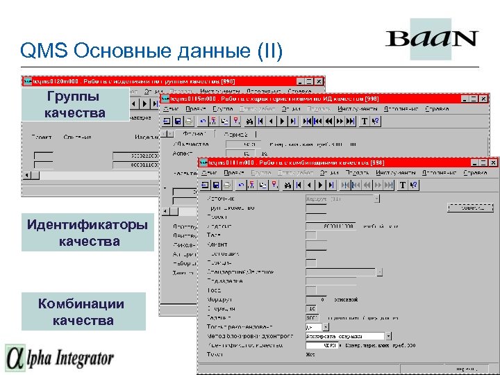 Qms ru проверка. Программа QMS. Основные данные. Программа QMS В медицине. Работа в системе QMS.