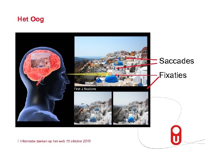 Het Oog Saccades Fixaties 6 Informatie zoeken op het web 15 oktober 2010 