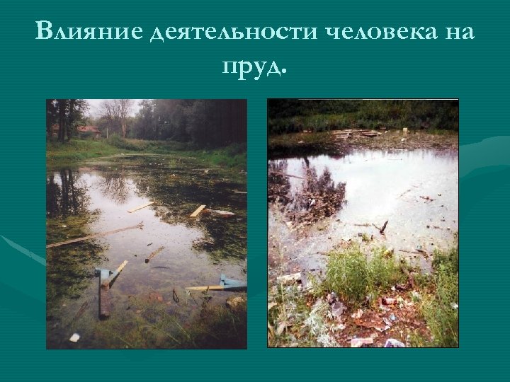 Влияние деятельности человека на пруд. 