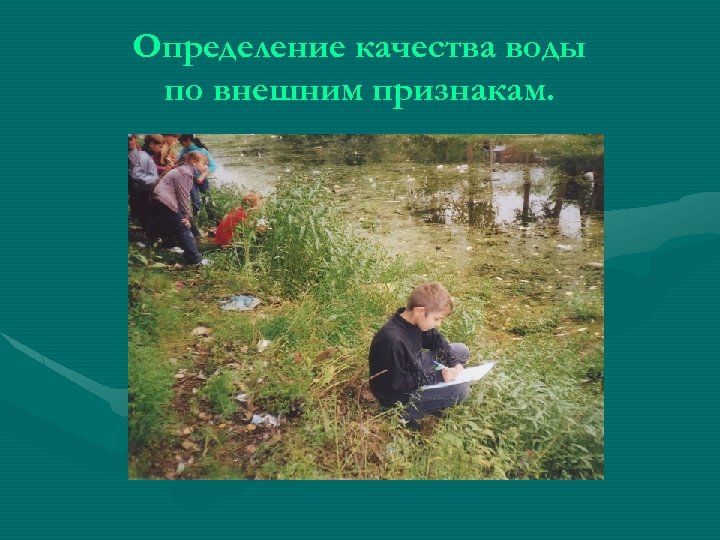 Определение качества воды по внешним признакам. 