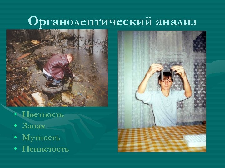 Органолептический анализ • • Цветность Запах Мутность Пенистость 