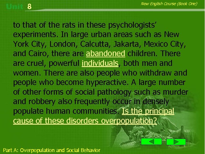 8 New English Course (Book One) to that of the rats in these psychologists’