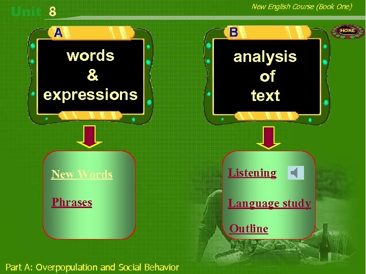 8 words & expressions New English Course (Book One) analysis of text New Words