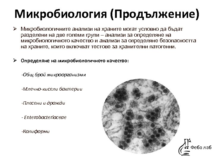 Микробиология (Продължение) Ø Микробиологичните анализи на храните могат условно да бъдат разделени на две