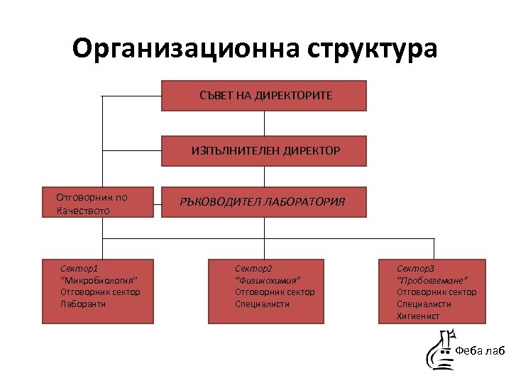 Организационна структура СЪВЕТ НА ДИРЕКТОРИТЕ ИЗПЪЛНИТЕЛЕН ДИРЕКТОР Отговорник по Качеството Сектор1 “Микробиология” Отговорник сектор