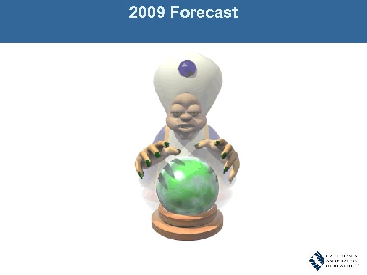 2009 Forecast 