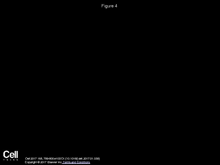 Figure 4 Cell 2017 168, 789 -800. e 10 DOI: (10. 1016/j. cell. 2017.