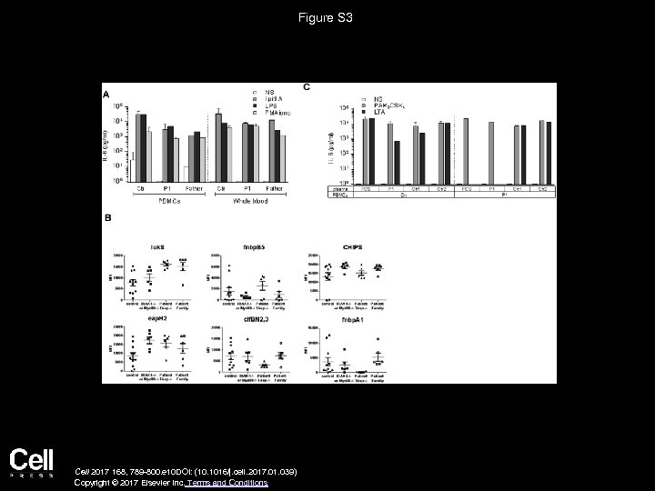 Figure S 3 Cell 2017 168, 789 -800. e 10 DOI: (10. 1016/j. cell.