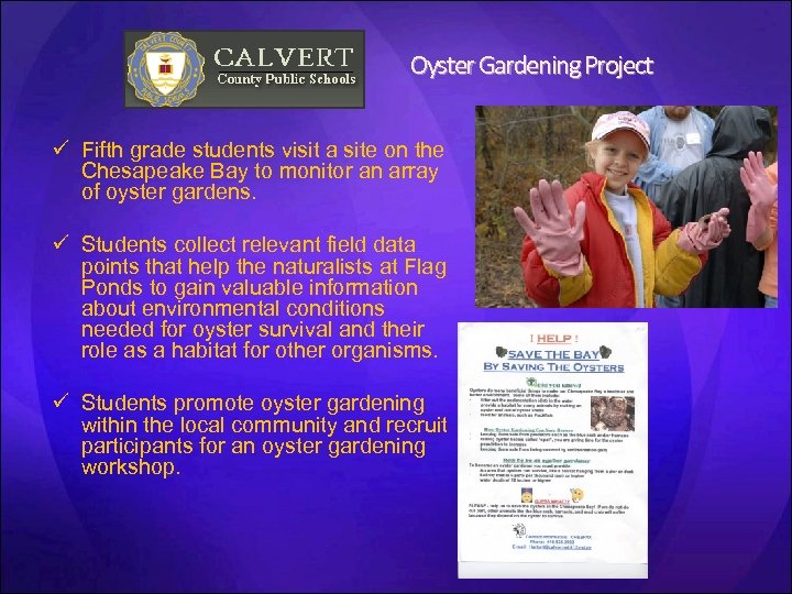 Oyster Gardening Project ü Fifth grade students visit a site on the Chesapeake Bay