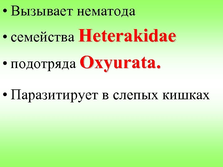  • Вызывает нематода • семейства Heterakidae • подотряда Oxyurata. • Паразитирует в слепых