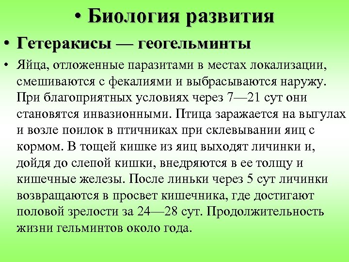  • Биология развития • Гетеракисы — геогельминты • Яйца, отложенные паразитами в местах