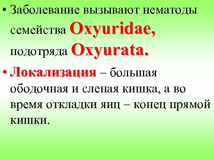  • Заболевание вызывают нематоды семейства Oxyuridae, подотряда Oxyurata. • Локализация – большая ободочная