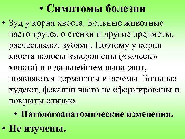 • Симптомы болезни • Зуд у корня хвоста. Больные животные часто трутся о
