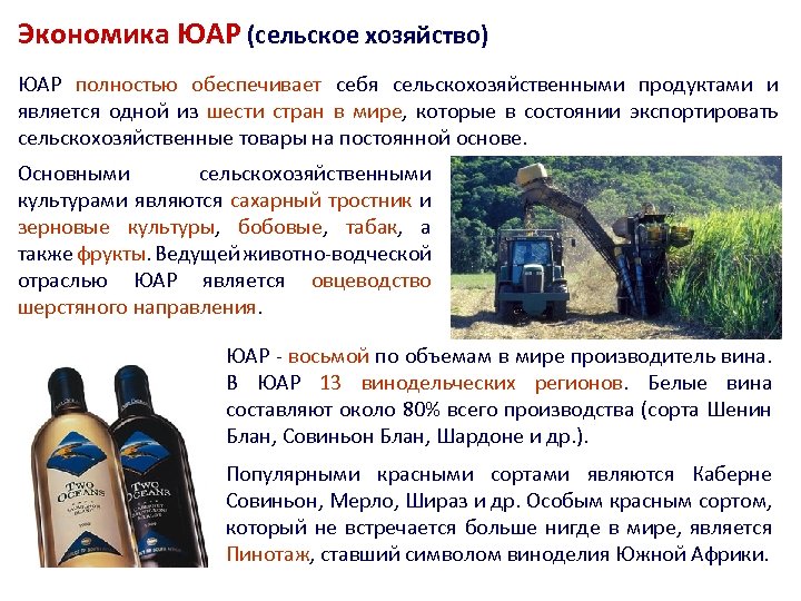 Экономика ЮАР (сельское хозяйство) ЮАР полностью обеспечивает себя сельскохозяйственными продуктами и является одной из