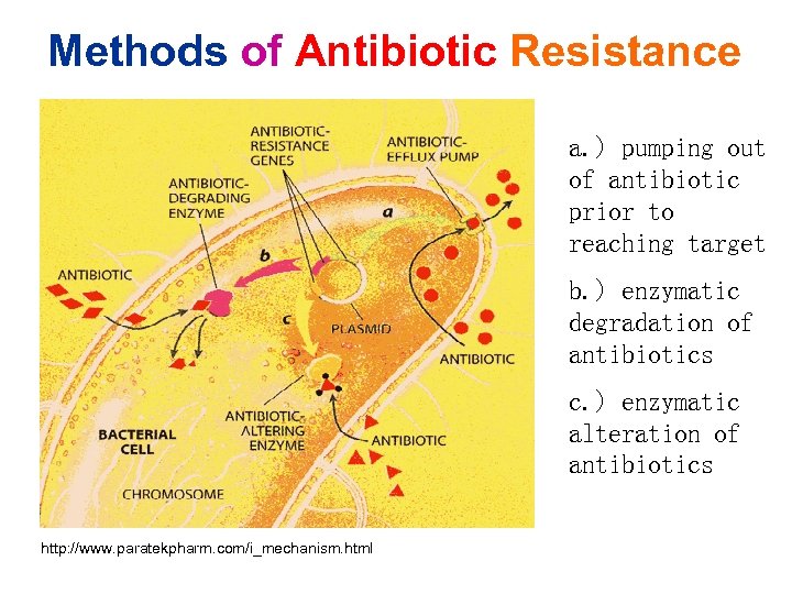 Methods of Antibiotic Resistance a. ) pumping out of antibiotic prior to reaching target