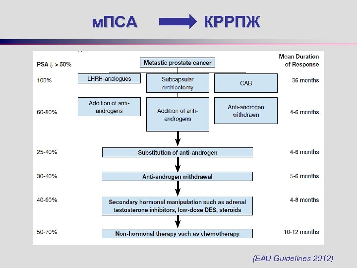 м. ПСА КРРПЖ (EAU Guidelines 2012) 