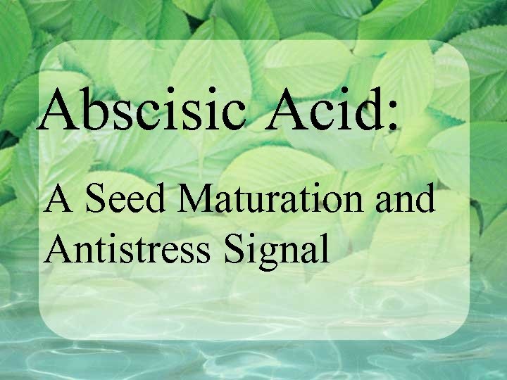 Abscisic Acid: A Seed Maturation and Antistress Signal 