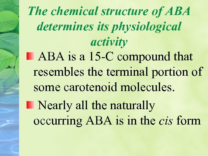 The chemical structure of ABA determines its physiological activity ABA is a 15 -C