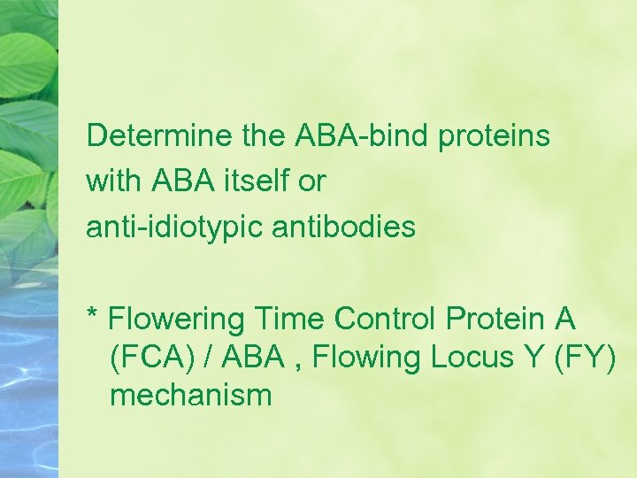 Determine the ABA-bind proteins with ABA itself or anti-idiotypic antibodies * Flowering Time Control